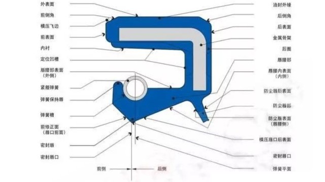 骨架油封各個(gè)部位的作用